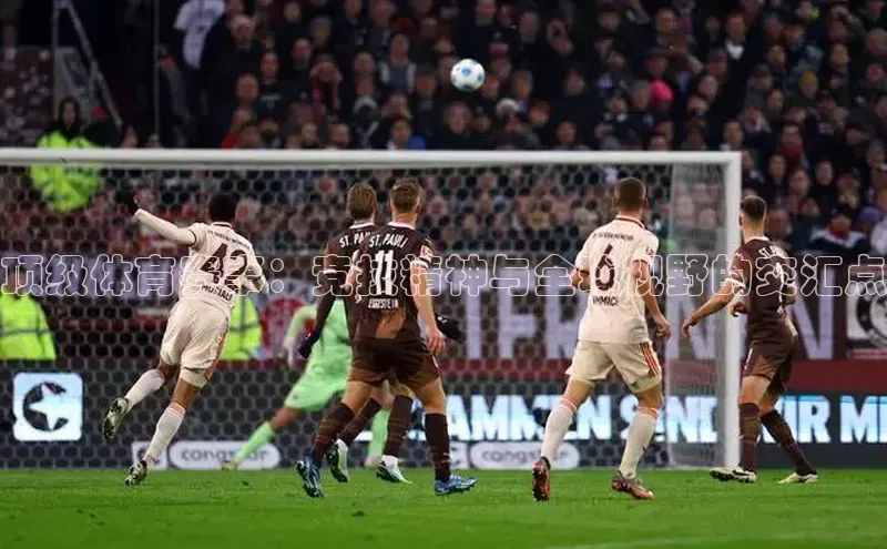 顶级体育赛事：竞技精神与全球视野的交汇点