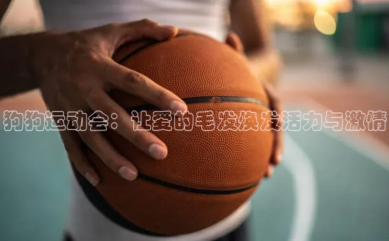 狗狗运动会：让爱的毛发焕发活力与激情